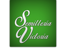 semilleria_victoria